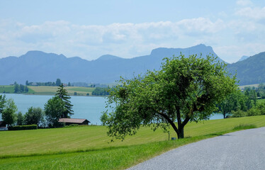 Salzkammergut in Österreich
