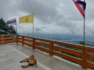 Monk Trail Chiang Mai