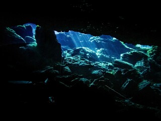 Sunlight streams into the cavern zone at P1, Wes Skiles Peacock Springs State Park, Suwannee County, Florida