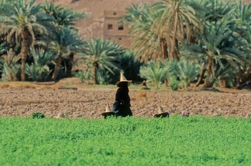 Madhalla worn by women