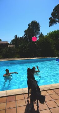 Fun and  amazing game of volleyball between a couple and a Border Collie dog in a pool