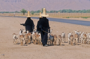 Madhalla worn by women