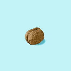 Raw walnut isolated on blue background. Minimal food concept. 