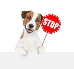 Jack russell terrier holds stop sign above empty white banner. Isolated on white background