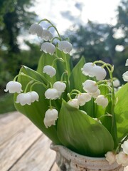 Maigl&ouml;ckchen in Vase im Garten 
