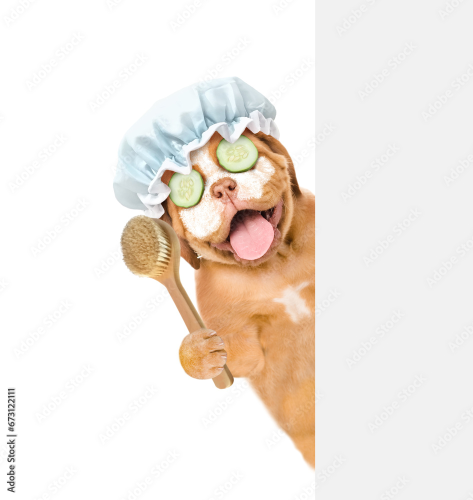 Poster Happy Mastiff puppy wearing shower cap with pieces of cucumber on it eyes and with cream on it face holds shower brush behind empty white banner. isolated on white background