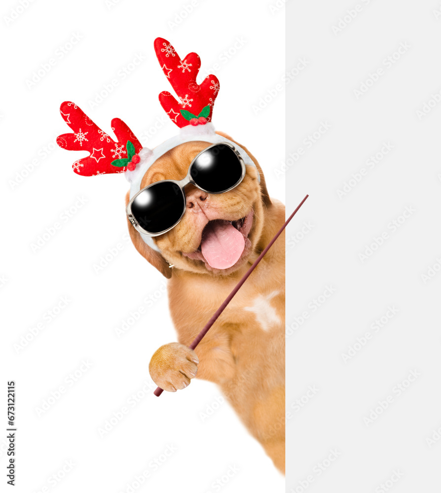 Poster Happy Mastiff puppy dressed like santa claus reindeer  Rudolf looking from behind empty white banner and points away on empty space. Isolated on white background
