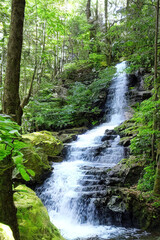 beautiful natural waterfall hidden in the forest, generated by Ai