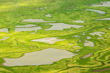 Coastal Tide Patterns