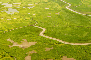 Coastal Tide Patterns
