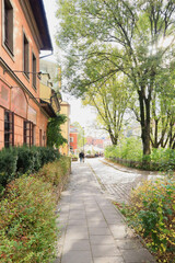 Sunny autumn street in Krakow