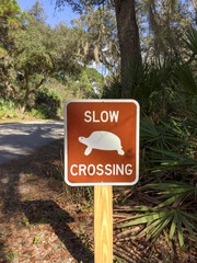 Close-up of tortoise warning sign on Florida highway
