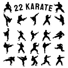 The karate Silhouette for martial arts or sport concept. © niphon