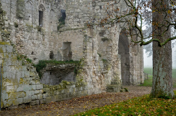 abbaye Saint Pierre de Jumièges, hiver dans la brume, fondée en 654, 76, Jumièges, Normandie, Seine Maritime, France
