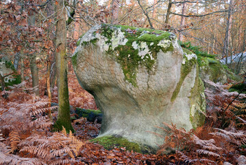 Rocher, Sentier des peintres de Barbizon, Forêt de Fontainebleau, 77, Seine et Marne, France
