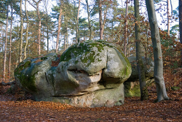 Rocher, Sentier des peintres de Barbizon, Forêt de Fontainebleau, 77, Seine et Marne, France