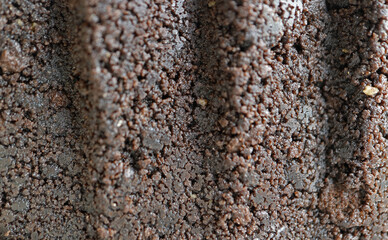Closeup of crunchy chocolate cookie pie crust's texture