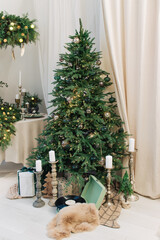 Christmas home interior. White room with a large decorated Christmas tree, gift boxes. Holiday decor.	