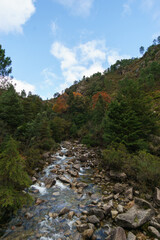 Fototapeta na wymiar Mountain river Arado with much water during autumn time, Peneda-Geres National Park, Vilar da Veiga, Portugal