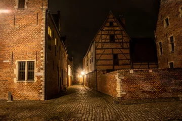 Foto op Plexiglas residential student houses in the Groot Begijnhof historic district of Leuven at night with streetlamp light. Atmospheric street photography showing old stone roads with pretty red brick buildings © drew