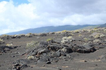 Lava fields in El Hierro