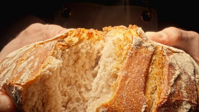 Baker breaking hot and fresh bread. Male baker hands breaking homemade bread. Bakery concept. Craft organic bread. Close-up in 4K, UHD