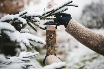 Winter birds feeding. A woman feeds birds in winter.