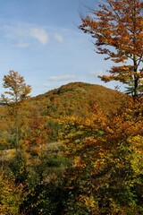  Autumn in the mountains. Hostyn hills. Czechia.