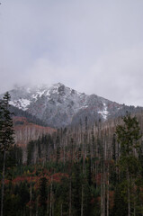 Misty Autumn Morning in the High Tatras: A Glimpse of Winter's Approach Amongst Poland's Vibrant Fall Foliage - Ideal for Seasonal and Travel-Inspired Creative Projects