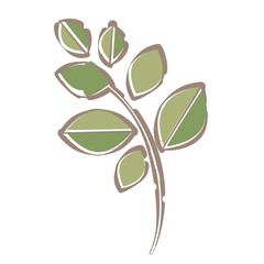 シンプルな葉っぱの挿し絵　ふんわり線画タッチ