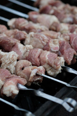 meat on skewers on the grill close-up