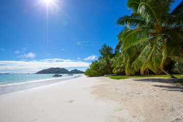 White empty beach at Seychelles - 673165955