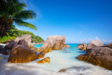 Tropical beach Anse Patate Seychelles - 673165986