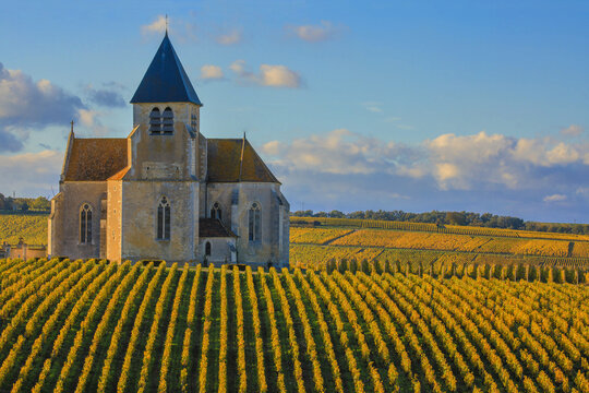&Eacute;glise Saint-Claire de Pr&eacute;hy dans le vignoble de Chablis, Bourgogne, France