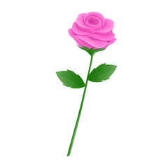 Fototapeta premium Pink rose watercolor painting, pink rose illustration, pink rose clipart