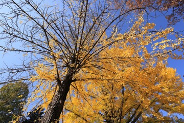 全国城巡り　信州上田城址とその周辺
