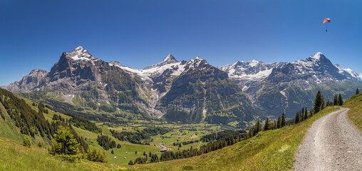 Berner Alpen - obrazy, fototapety, plakaty