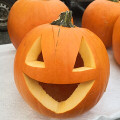 jack o lantern pumpkin