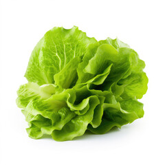 Fresh lettuce on white background