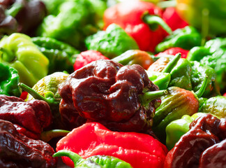 Mixed Colored Chilis on outdoor kitchen plates in close up view