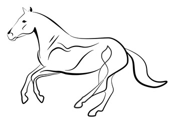 Obraz premium Pferd Galopp Logo 