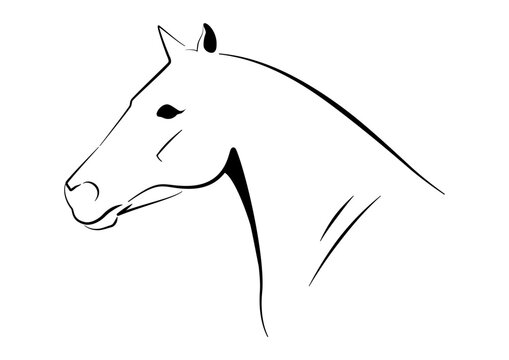 Pferdekopf Logo