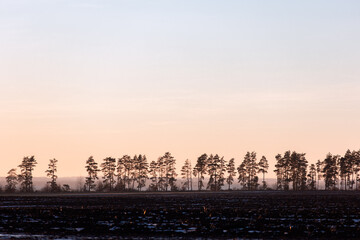 sunset in the winter