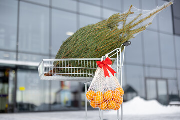 Shopping cart with wrapped Christmas tree and fruits in bag near shopping mall outdoors. Winter...
