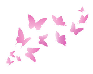 Fototapeta na wymiar set of pink butterflies