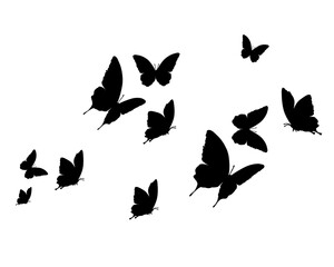 set of butterflies silhouettes