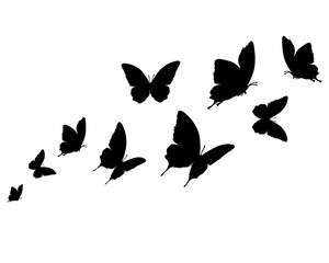 butterflies silhouettes set