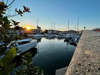 Picturesque boat dock in the morning, with a variety of boats and lush green plants