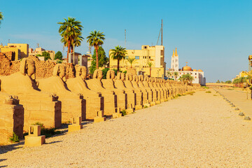 Alley of Sphinxes near Luxor Temple.