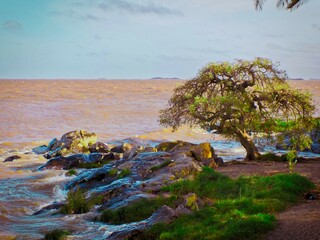 beach and rocks